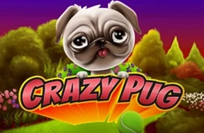 Crazy Pug